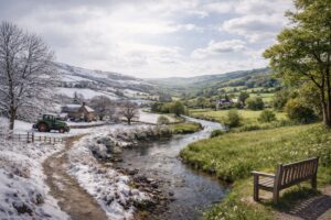 A1DCD76C 579A 4B7D 9295 ECDD0767C541 300x200